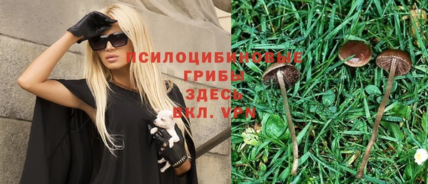 гашиш Новодвинск