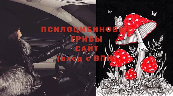мет Болотное