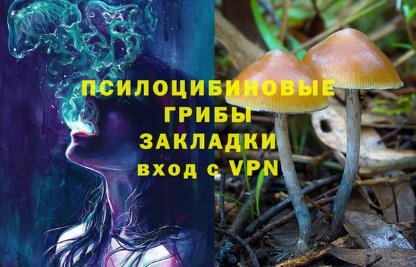 гашиш Новодвинск
