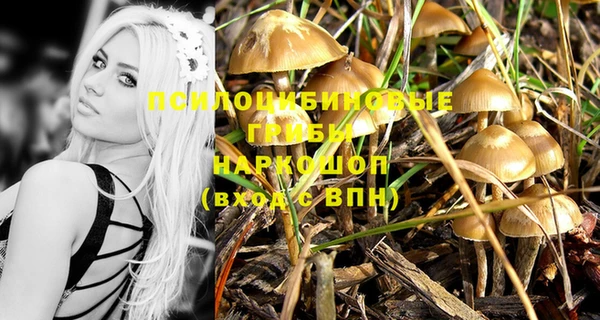 гашиш Новодвинск