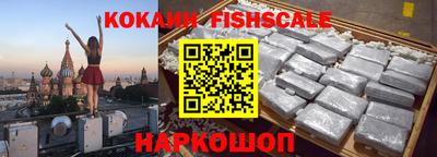 мдпв Камышлов