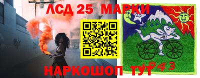 мдпв Камышлов