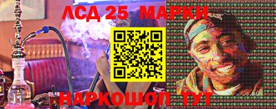 apvp Канаш