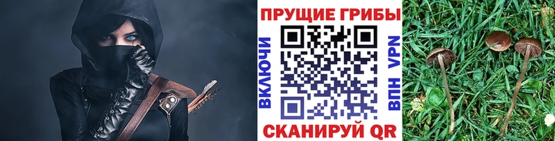наркошоп Скопин Галлюциногенные грибы Magic Shrooms