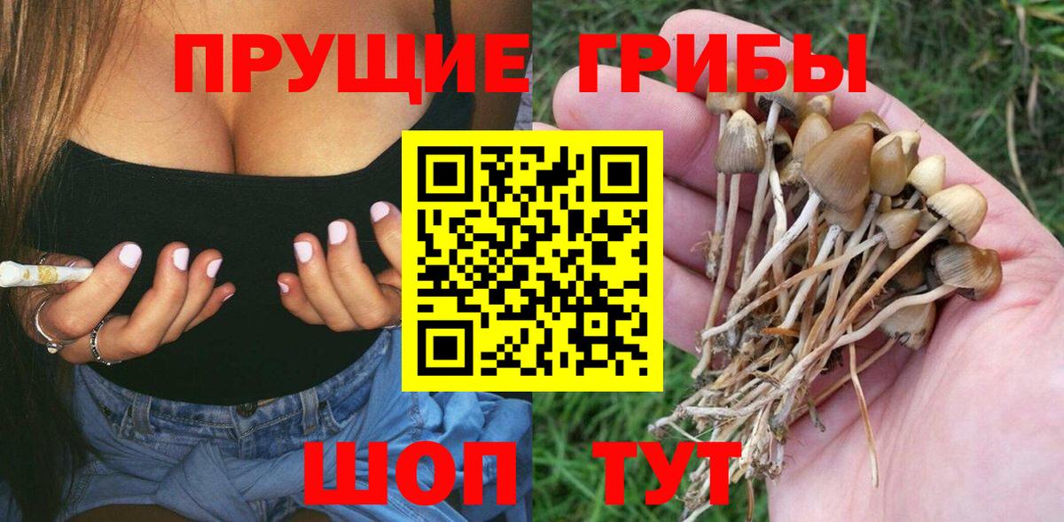 Псилоцибиновые грибы GOLDEN TEACHER  Вход с VPN  Галлюциногенные грибы мицелий  Скопин 