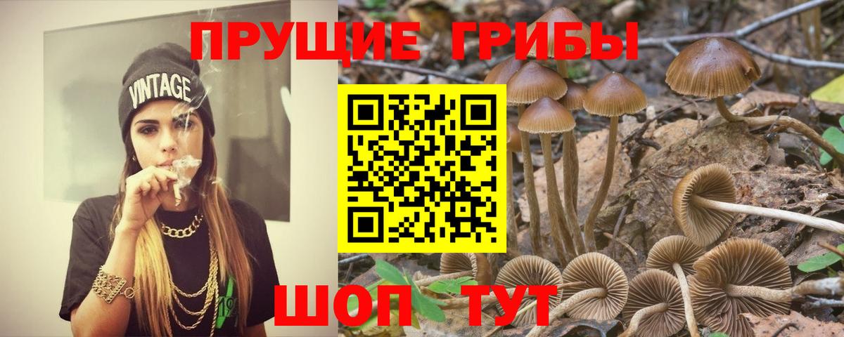 Псилоцибиновые грибы ЛСД Скопин