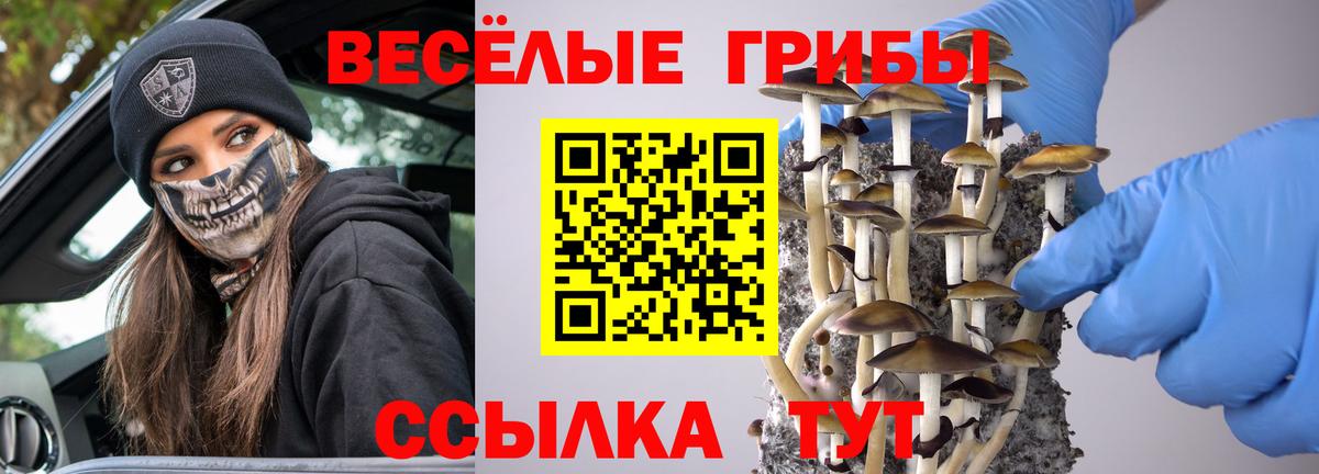 Псилоцибиновые грибы Psilocybe  Скопин  Псилоцибиновые грибы прущие грибы 